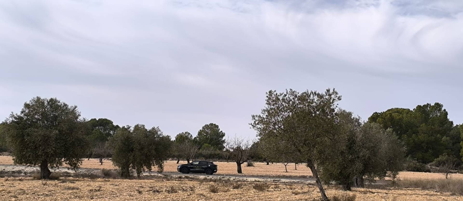 Bestaande woningen - Villa - Monovar