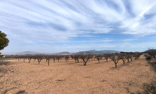 Bestaande woningen - Villa - Monovar