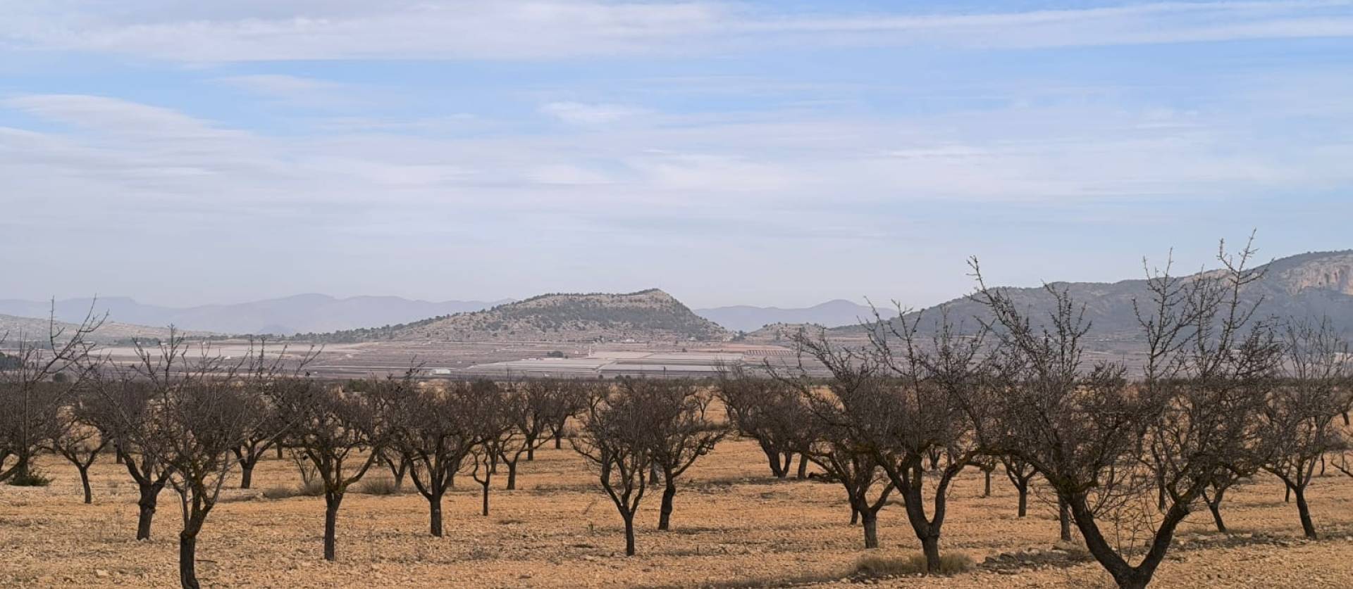 Bestaande woningen - Villa - Monovar