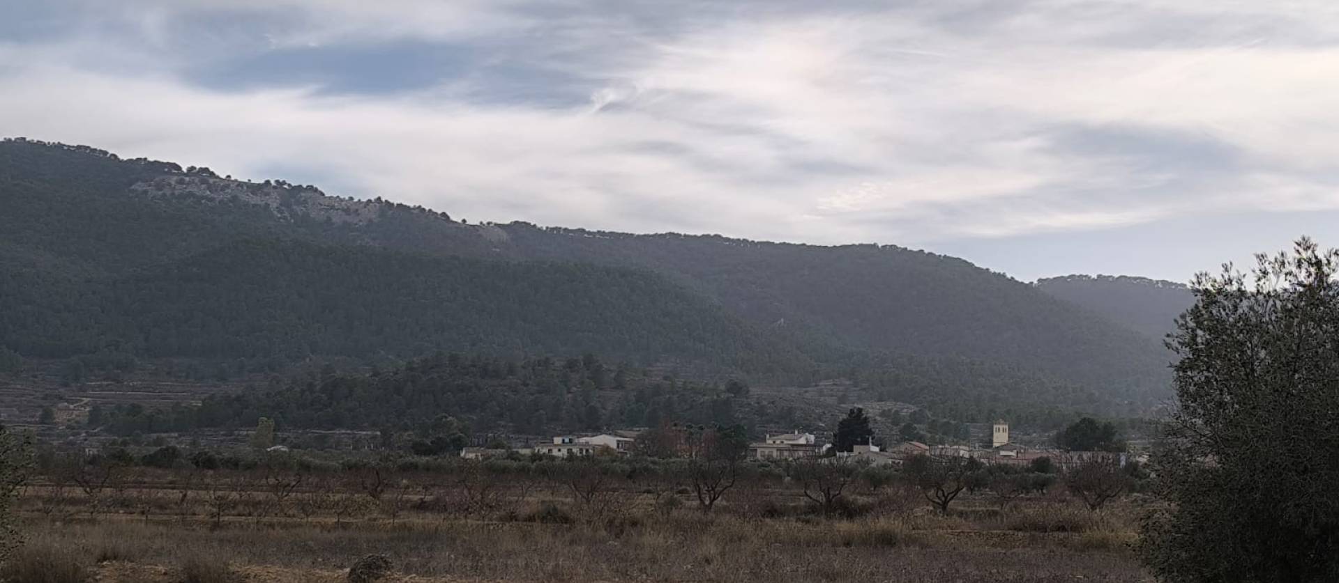 Revente -  - Monovar