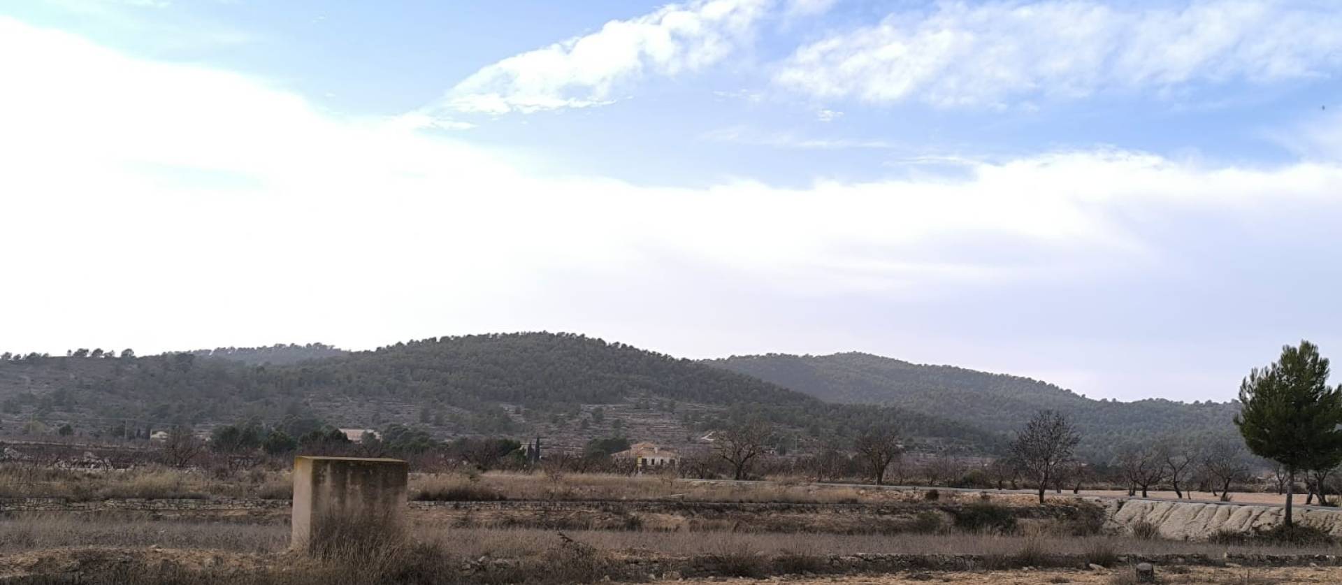 Revente -  - Monovar