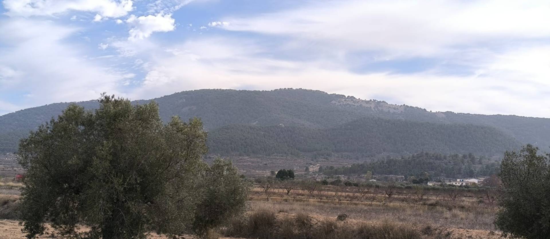 Revente -  - Monovar