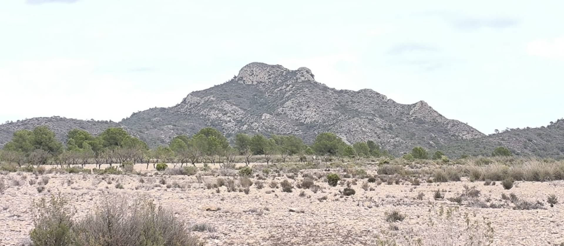 Sale - Land - Salinas