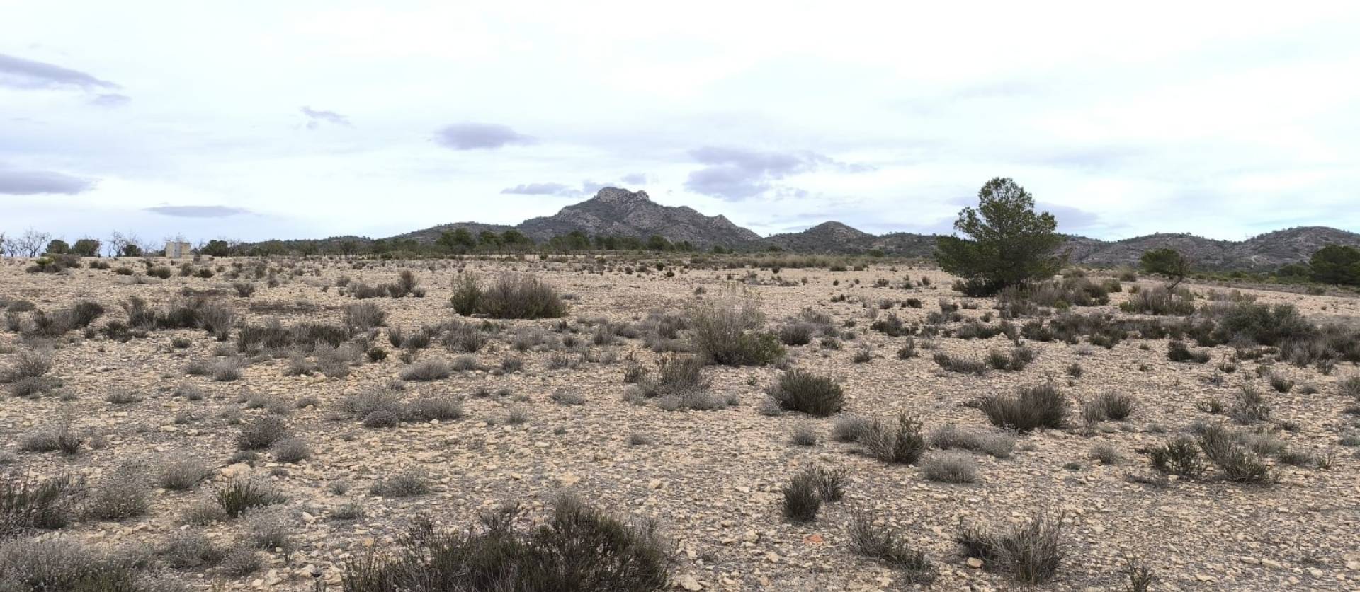 Sale - Land - Salinas