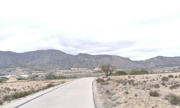 Sale - Land - Salinas