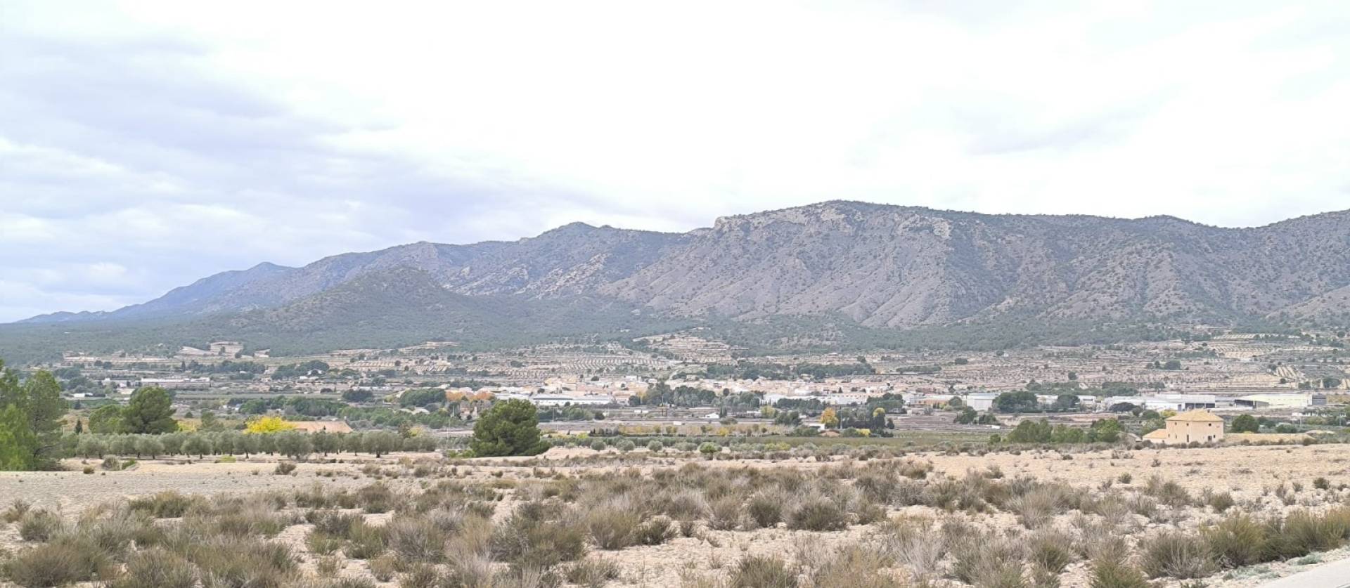 Sale - Land - Salinas