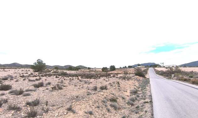 Sale - Land - Salinas