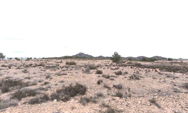 Sale - Land - Salinas