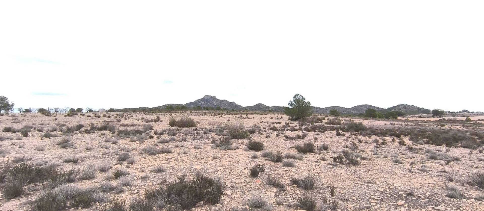 Sale - Land - Salinas