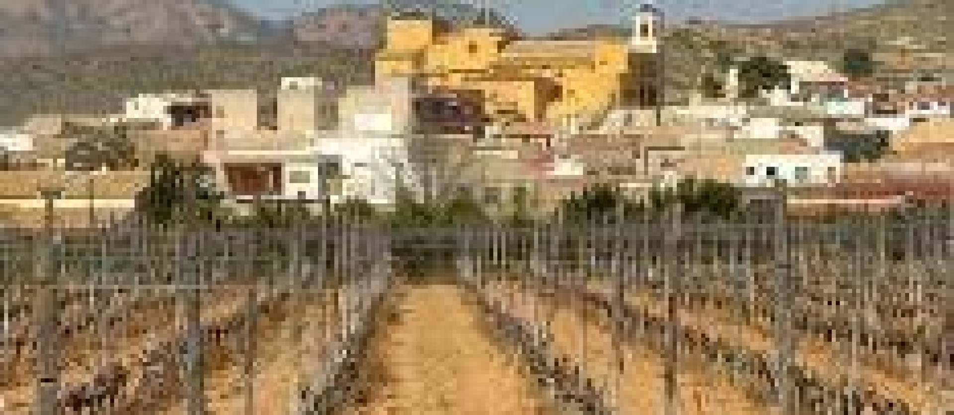 New Build - Top Floor Bungalow - Hondón de las Nieves - El Salero