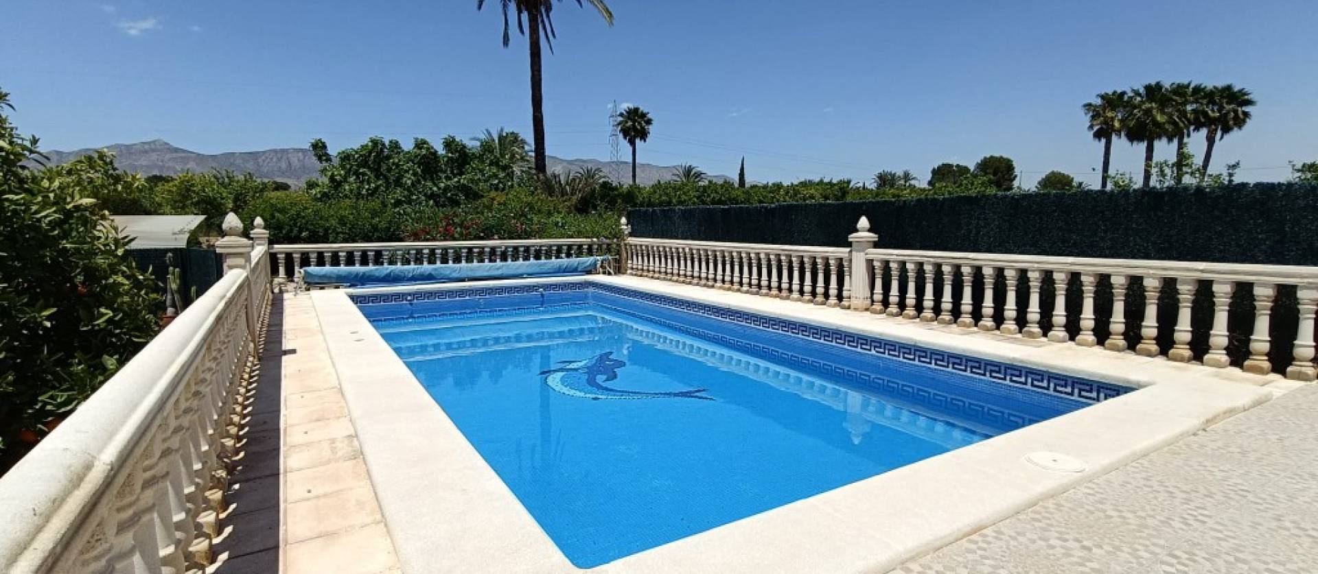 Bestaande woningen - Landelijk huis - Albatera