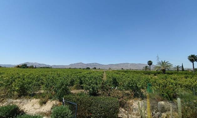 Bestaande woningen - Landelijk huis - Albatera