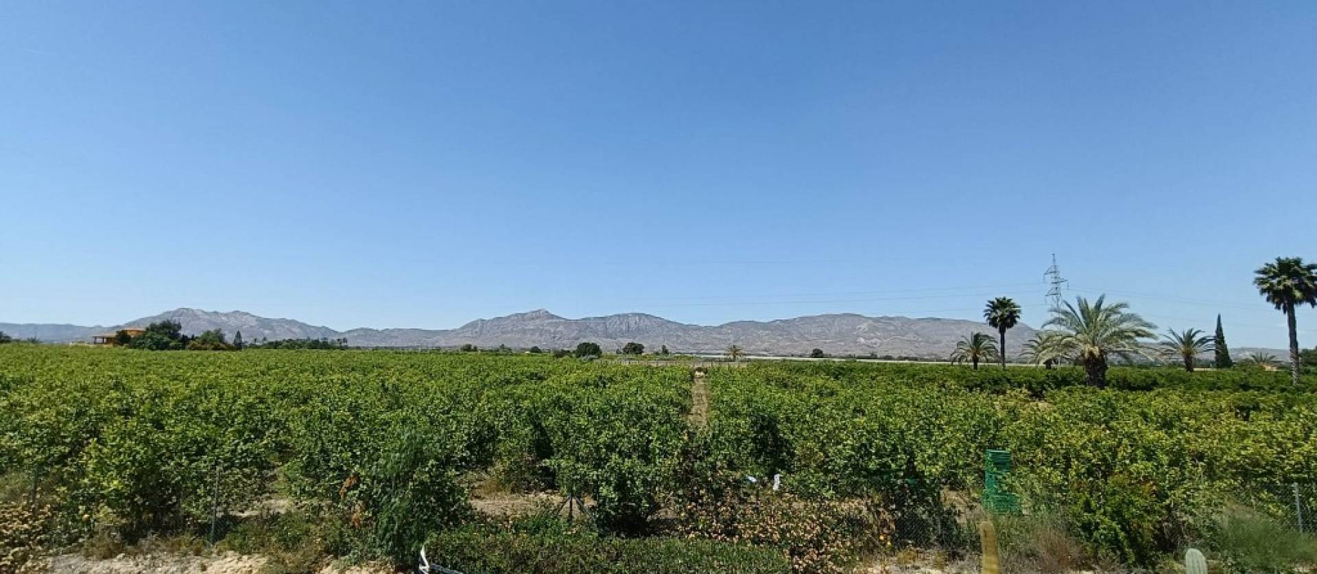 Bestaande woningen - Landelijk huis - Albatera
