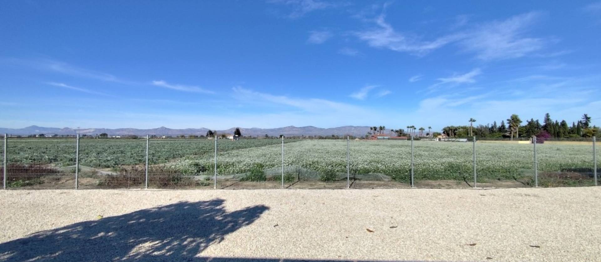 Sale - Villa - El Mudamiento