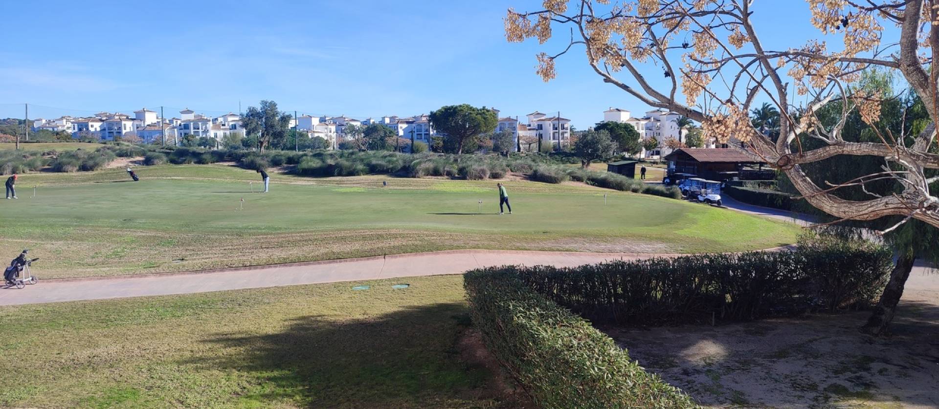 Venta - Apartment - Hacienda Riquelme Golf Resort