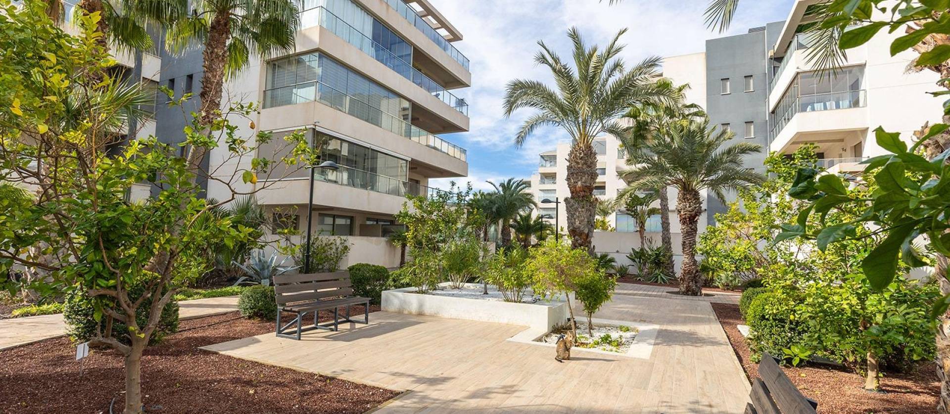 Sale - Apartment - Orihuela Costa - Los Dolses