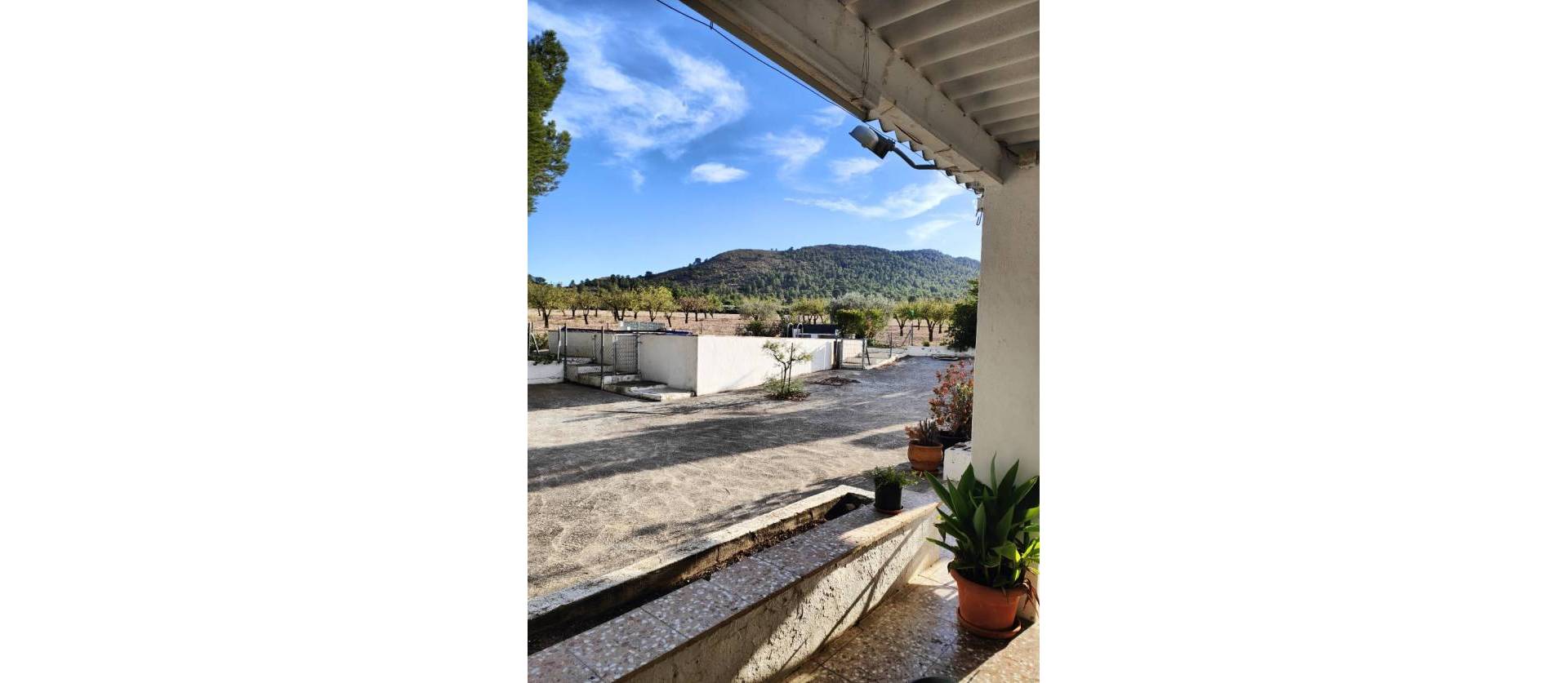 Bestaande woningen - Landelijk huis - Yecla