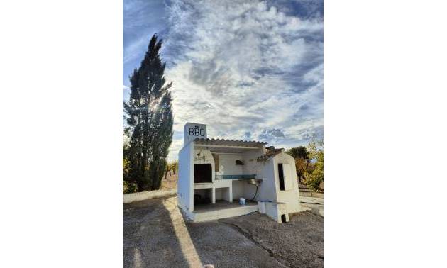 Bestaande woningen - Landelijk huis - Yecla