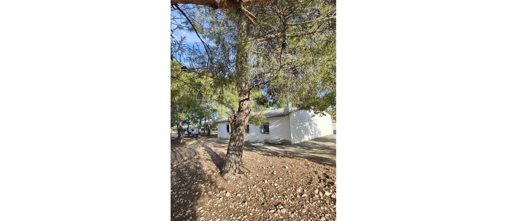 Bestaande woningen - Landelijk huis - Yecla