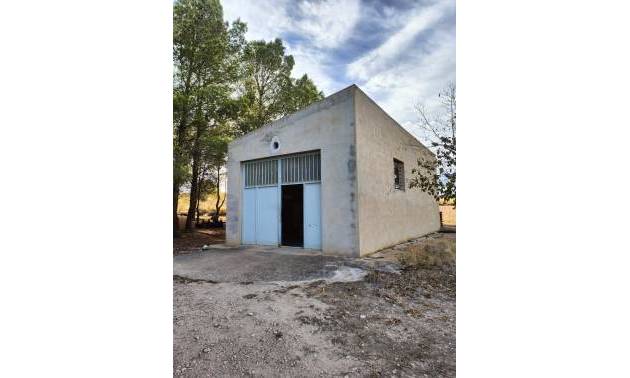 Bestaande woningen - Landelijk huis - Yecla