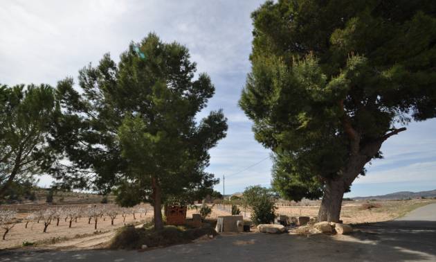 Revente - Country House - Monovar