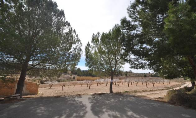 Revente - Country House - Monovar