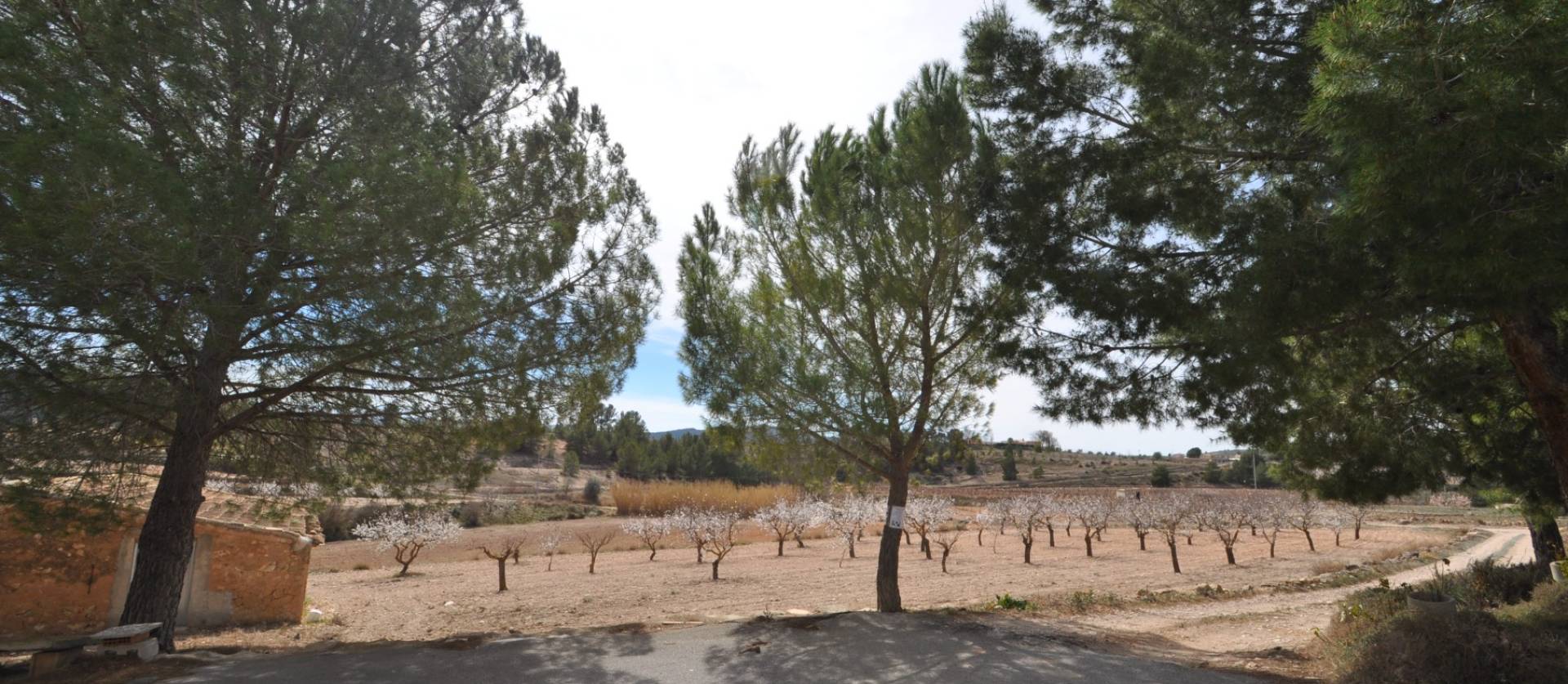 Revente - Country House - Monovar