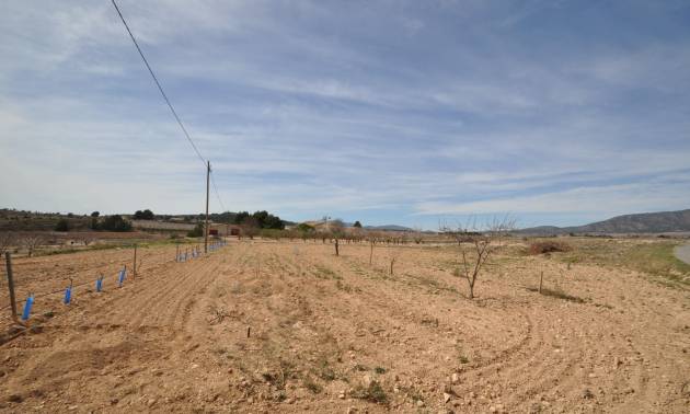 Revente - Country House - Monovar