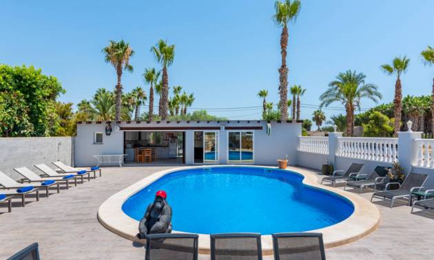 Bestaande woningen - Landelijk huis - Catral