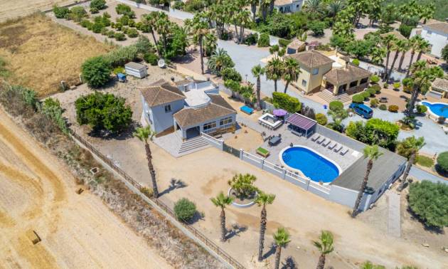 Bestaande woningen - Landelijk huis - Catral