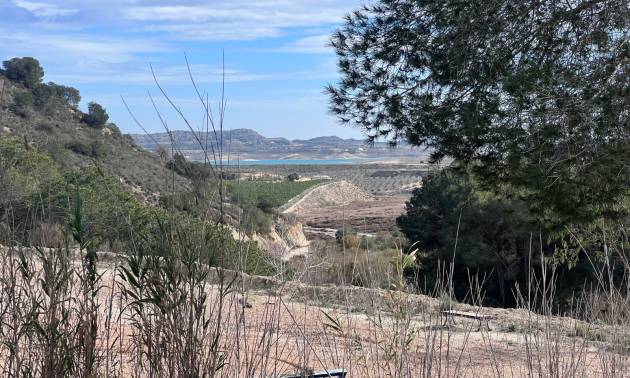 Venta - Country House - Torremendo