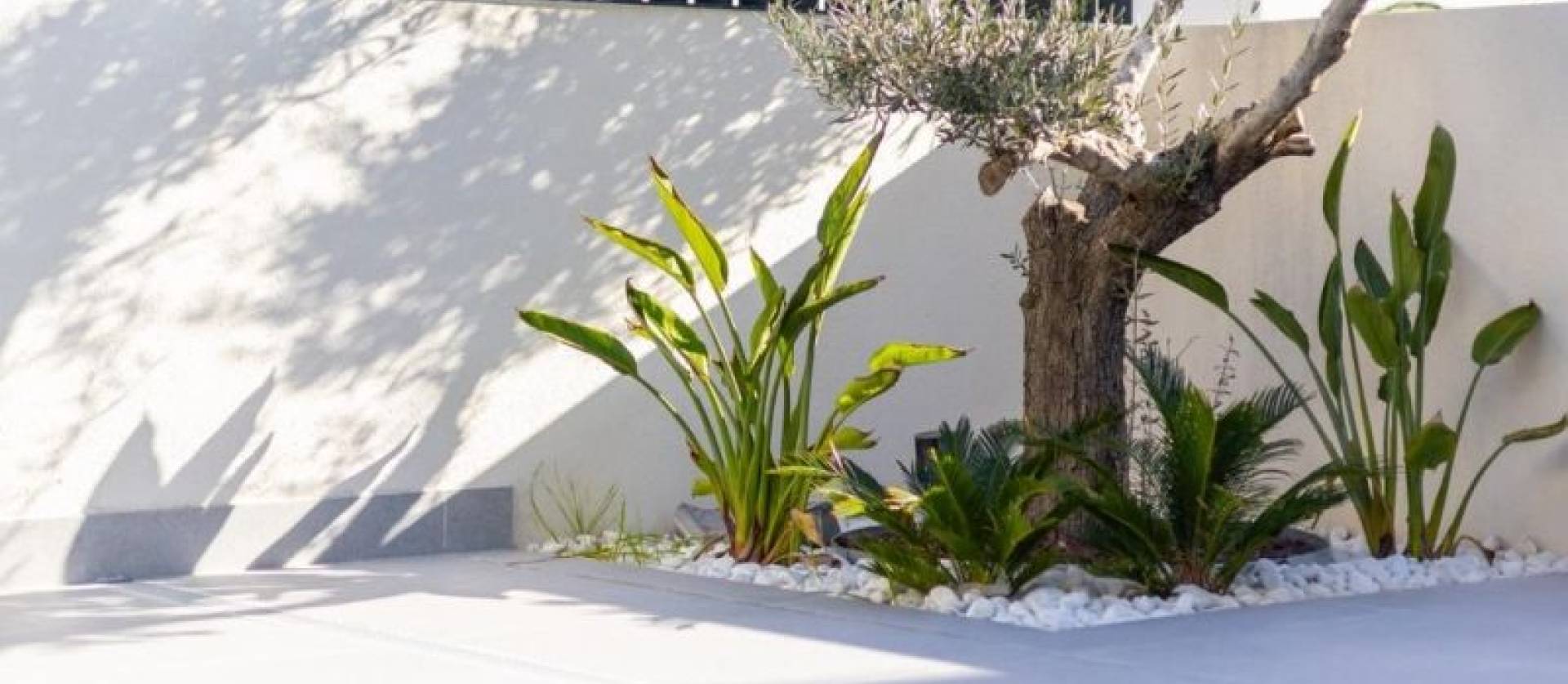 Revente - Villa - Algorfa