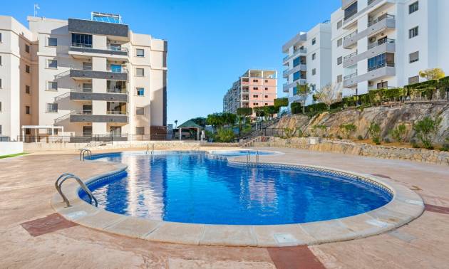 Sale - Apartments - San Miguel de Salinas - San Miguel