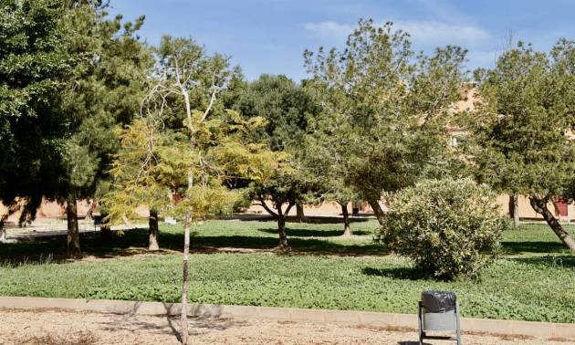 Revente - Apartment - Torrevieja