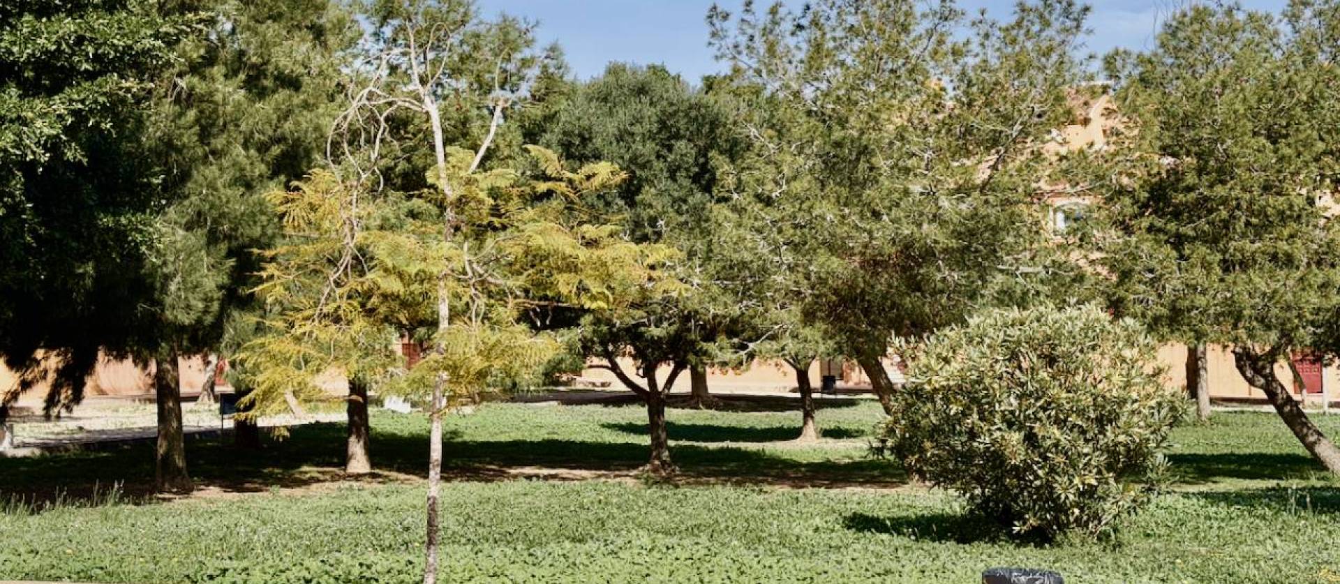 Revente - Apartment - Torrevieja