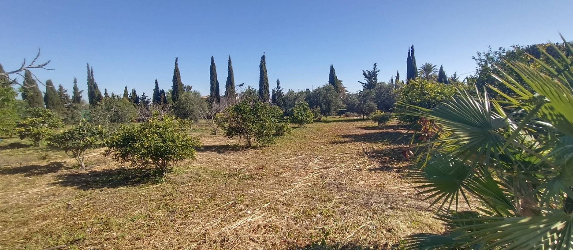 Revente - Villa - Avileses