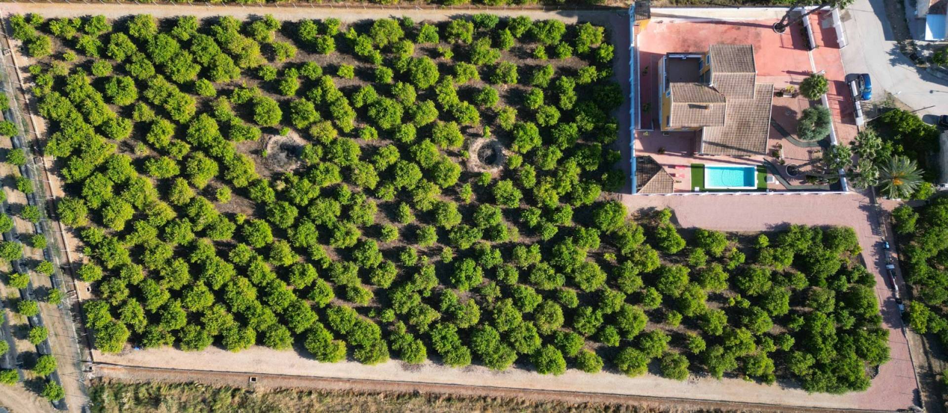 Revente - Country House - Orihuela