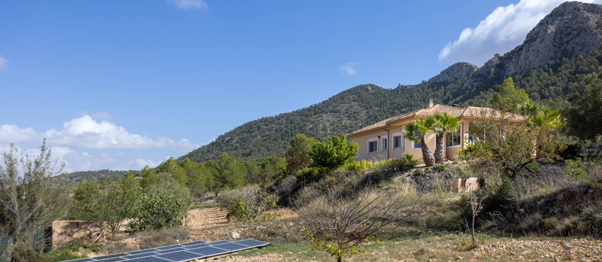 Sale - Independent villa - La Zarza - La Zarza Murcia