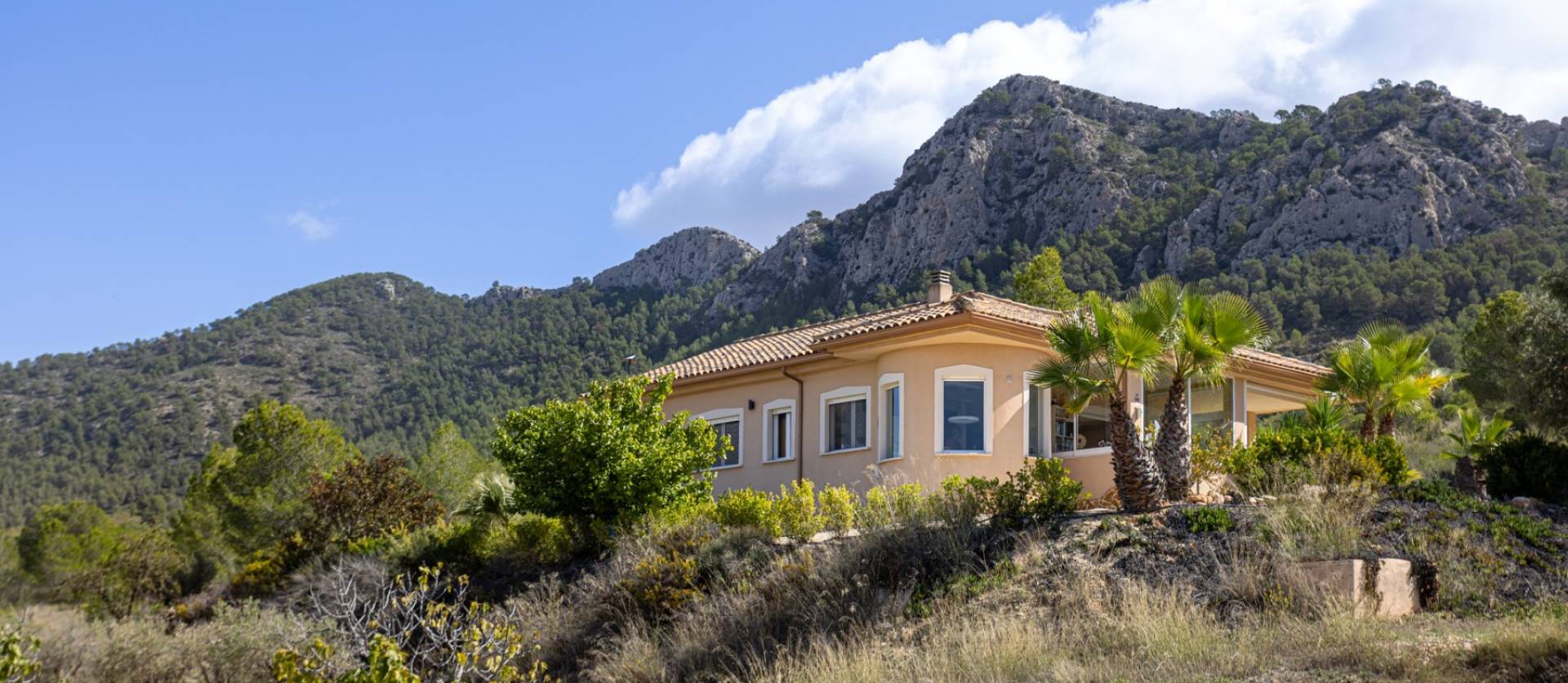 Sale - Independent villa - La Zarza - La Zarza Murcia