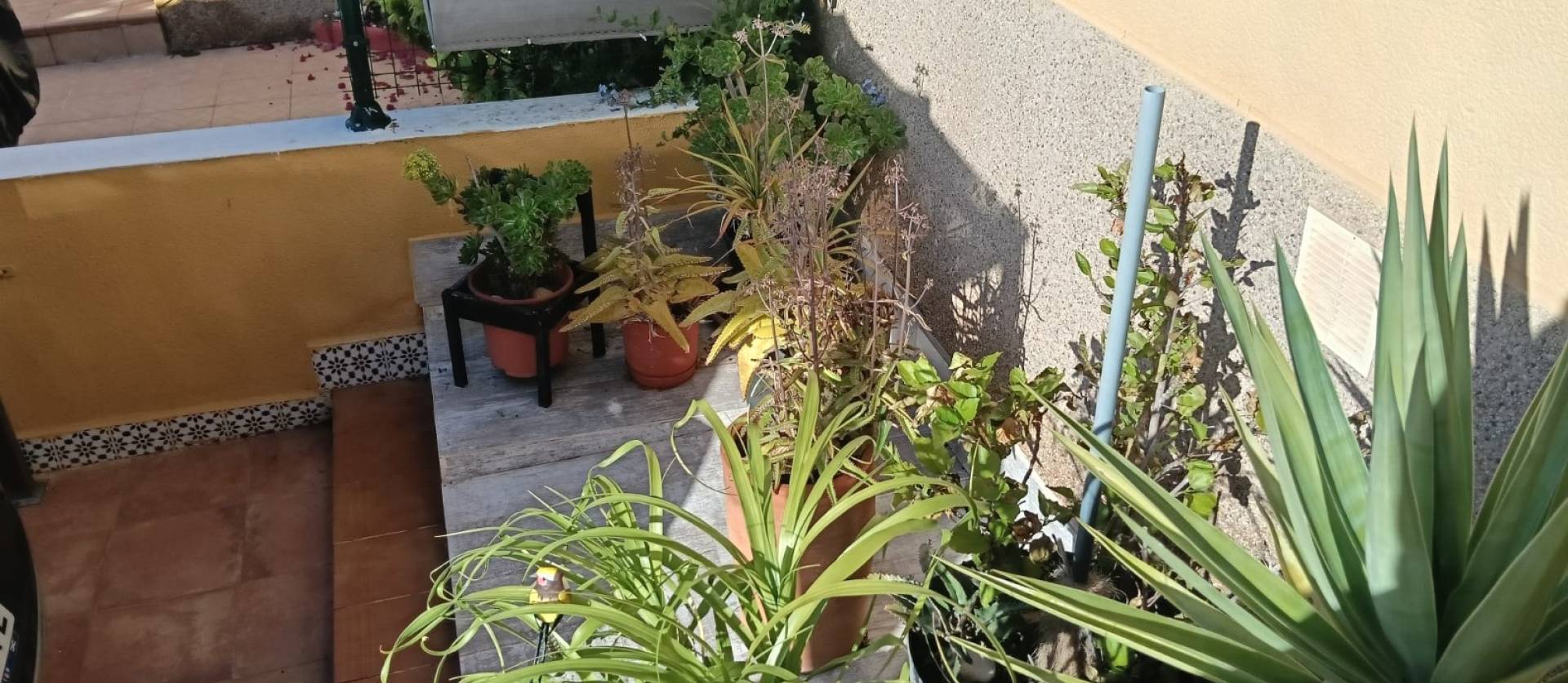 Sale - Apartment flat - Los Montesinos - La Herrada