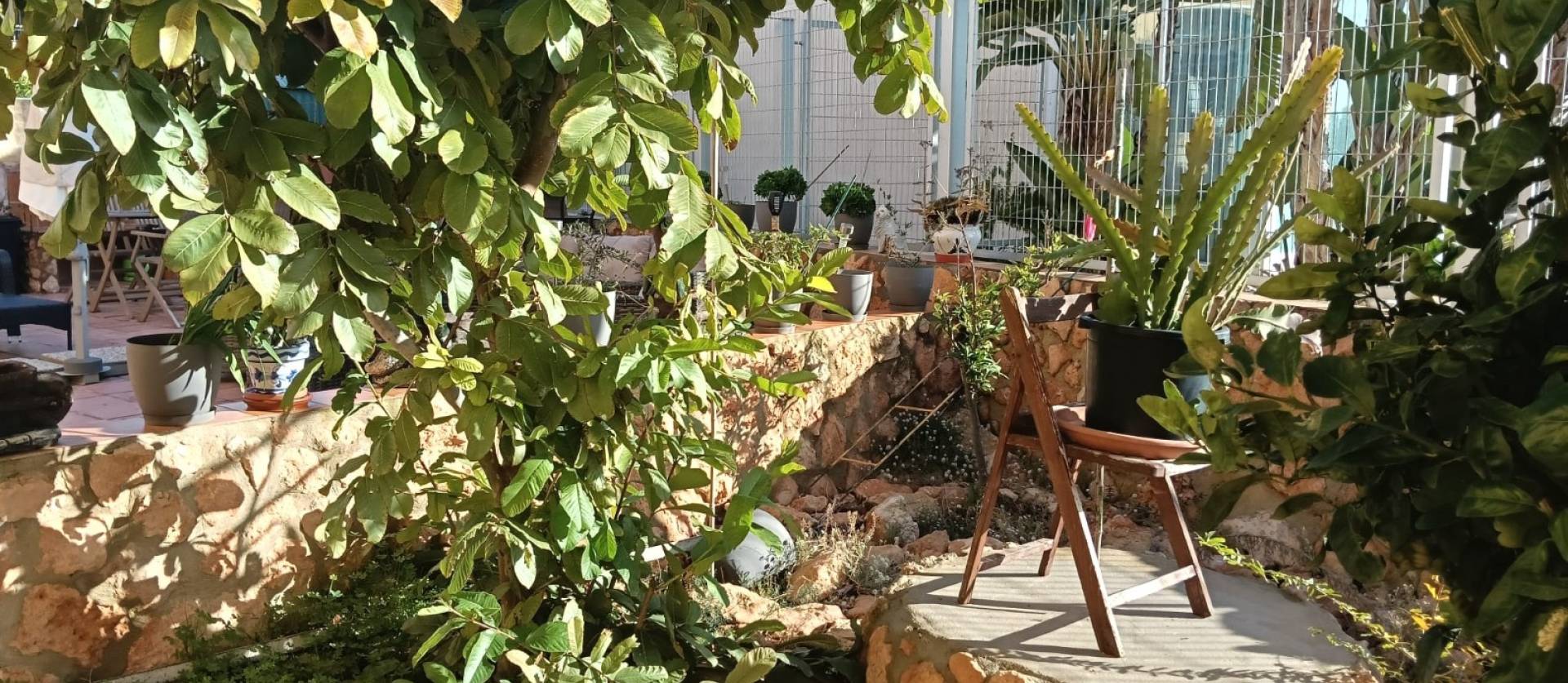 Sale - Apartment flat - Los Montesinos - La Herrada