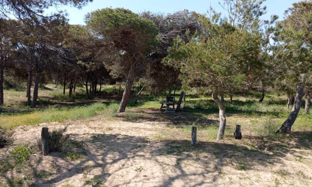 Sale - Bungalow - Guardamar del Segura - Urbanizaciones