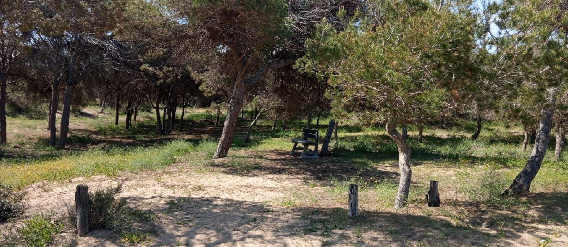 Sale - Bungalow - Guardamar del Segura - Urbanizaciones