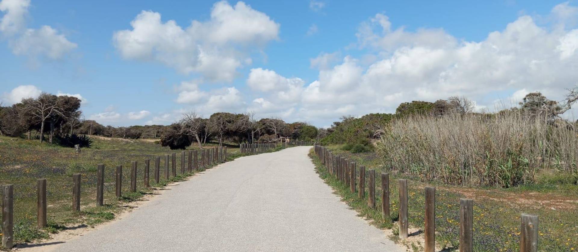 Sale - Bungalow - Guardamar del Segura - Urbanizaciones