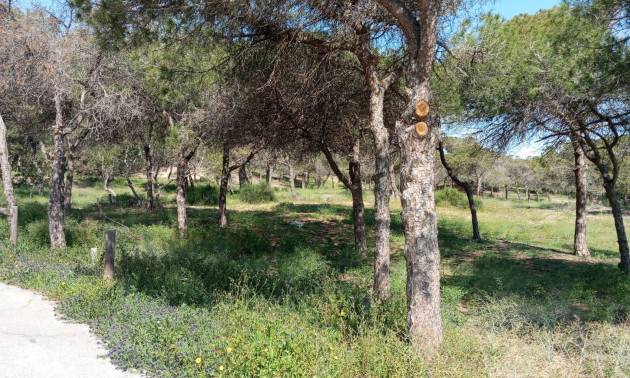 Sale - Bungalow - Guardamar del Segura - Urbanizaciones