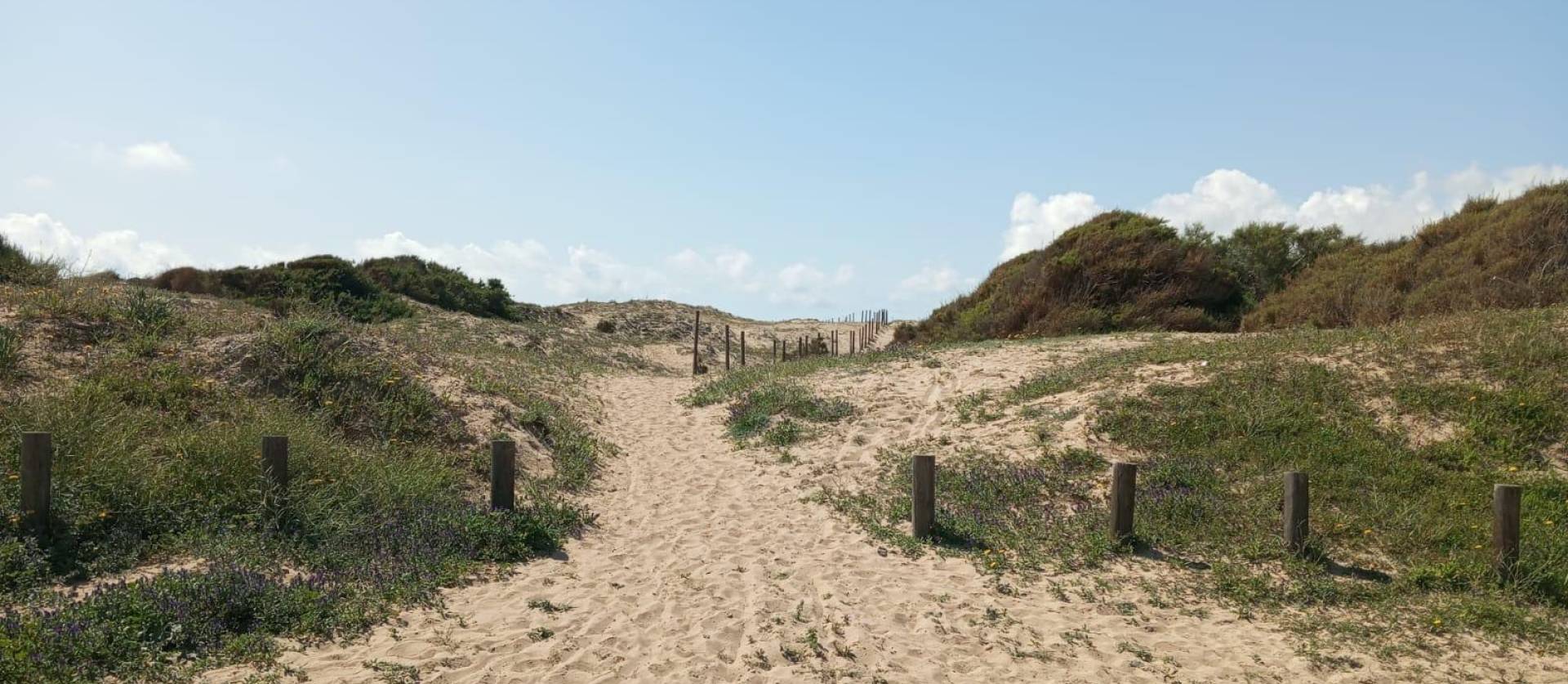 Sale - Bungalow - Guardamar del Segura - Urbanizaciones