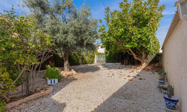 Sale - Villa - Torrevieja - El chaparral
