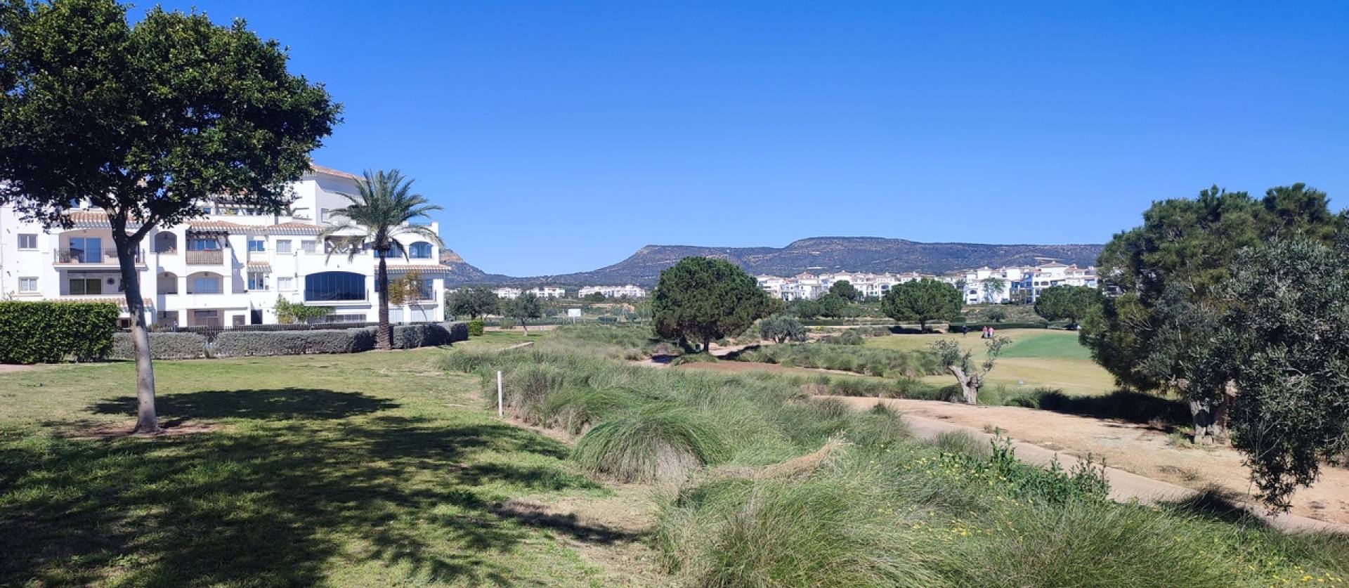 Sale - Apartment - Hacienda Riquelme Golf Resort