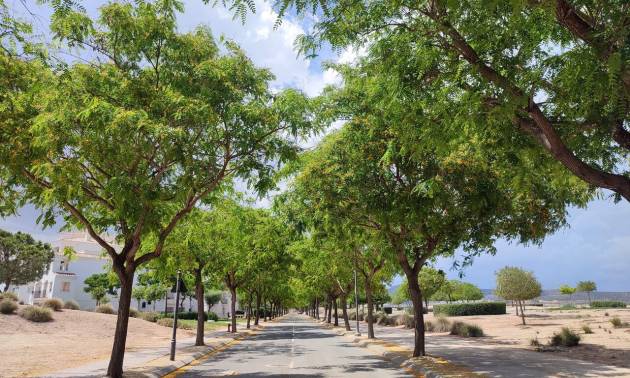 Revente - Apartment - Hacienda Riquelme Golf Resort