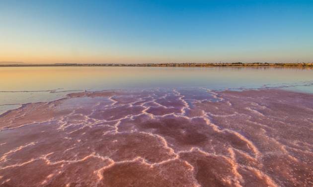 Venta - Apartment - Torrevieja - La Mata